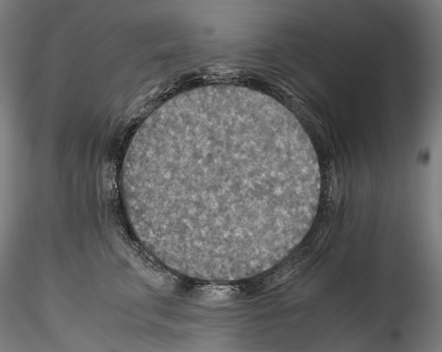 X0000114560711200911301248