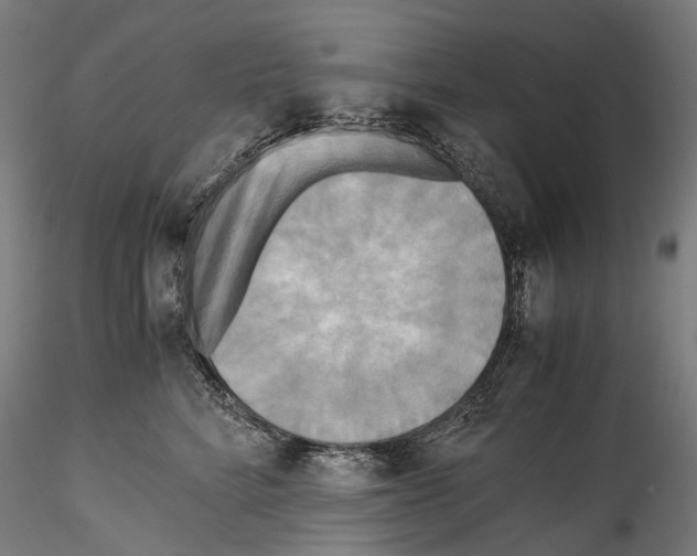 X0000114560712200911301248