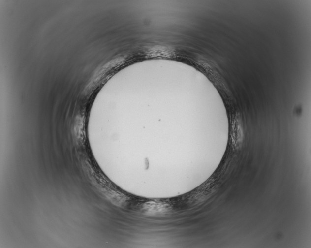 X0000114560714200911301248