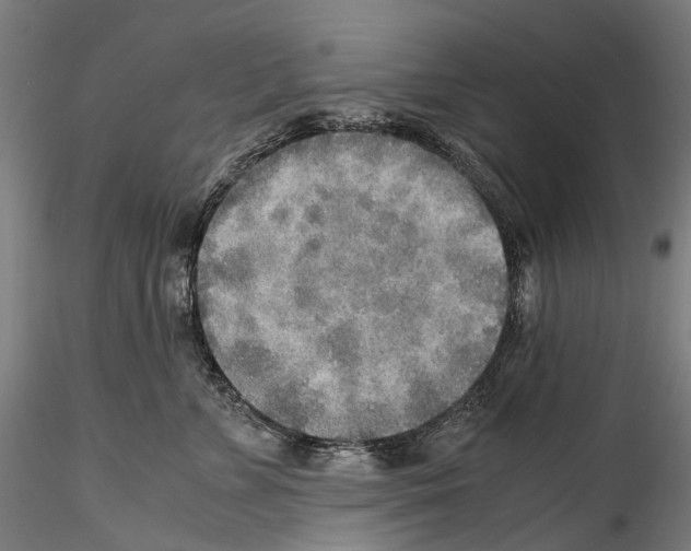 X0000114560715200911301248