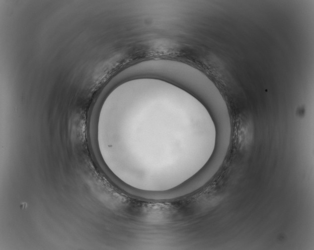 X0000114560716200911301248