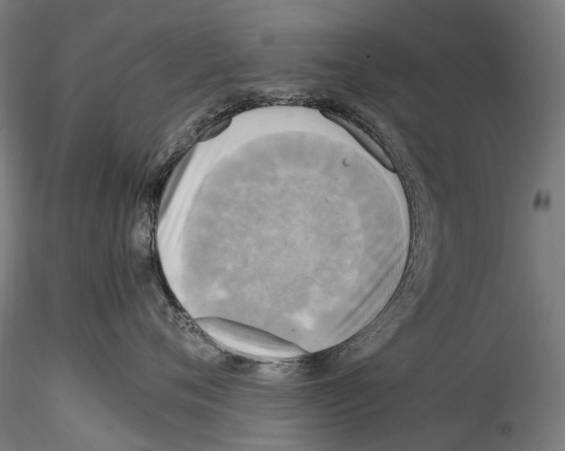 X0000114560720200911301248