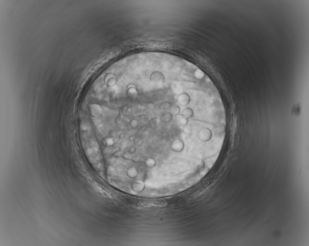 X0000114560721200911301248