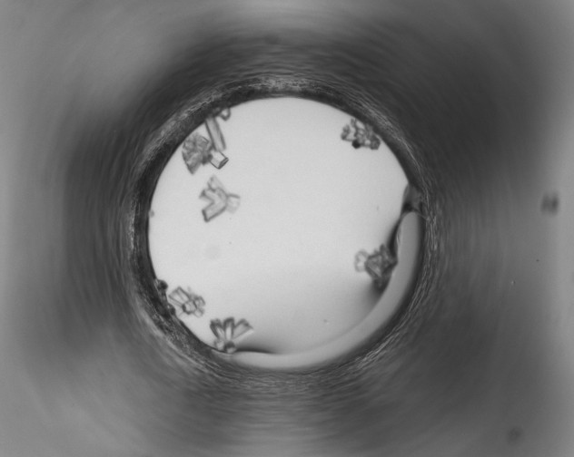 X0000114560722200911301248