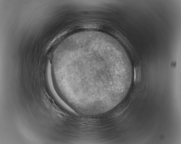 X0000114560723200911301248