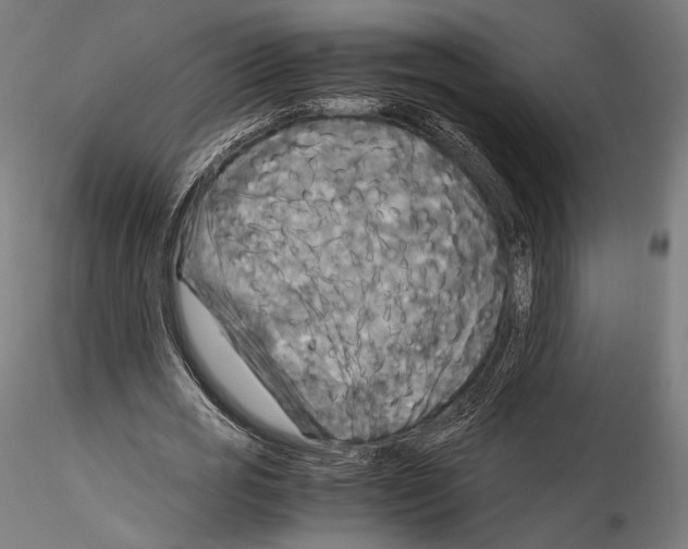 X0000114560725200911301248