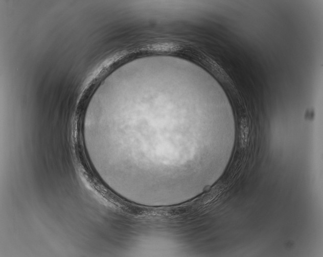X0000114560726200911301248