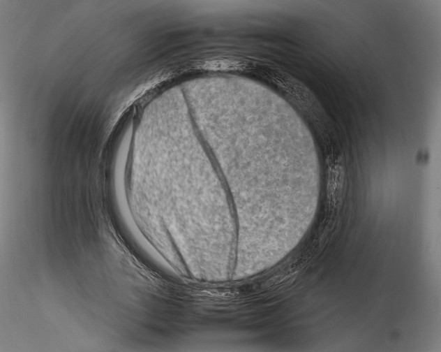 X0000114560727200911301248