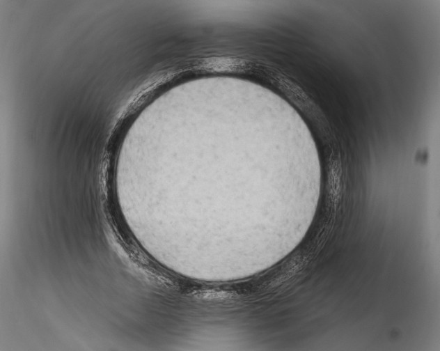 X0000114560730200911301248