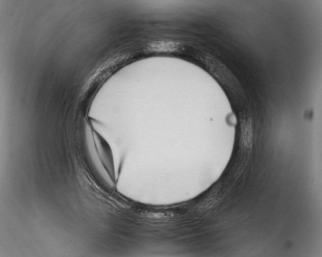 X0000114560731200911301248