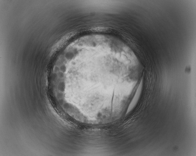 X0000114560734200911301248