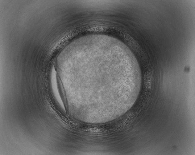 X0000114560735200911301248