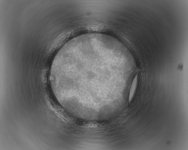 X0000114560738200911301248