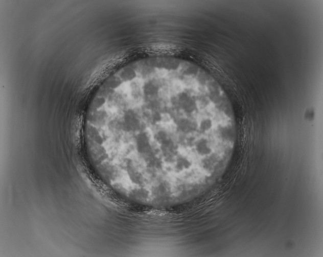 X0000114560742200911301248
