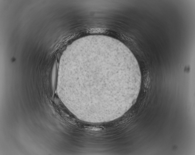X0000114560743200911301248