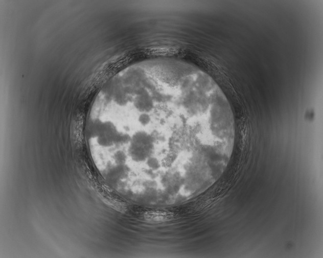 X0000114560745200911301248