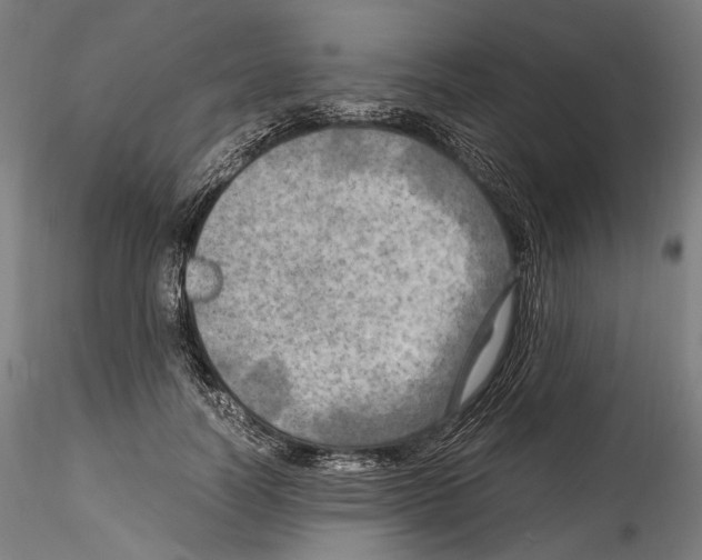 X0000114560746200911301248