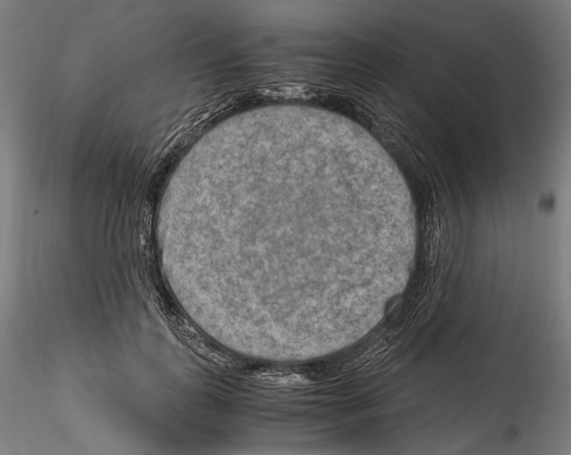 X0000114560747200911301248