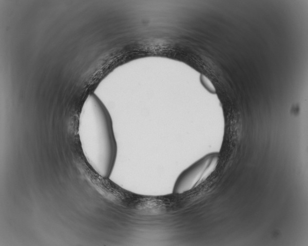X0000114560750200911301248