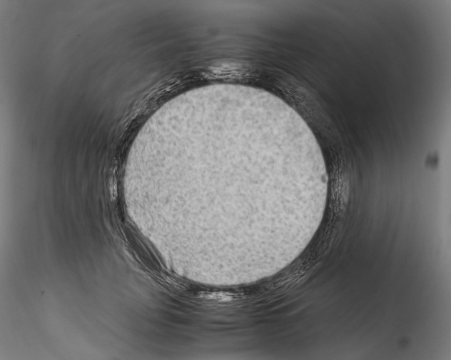 X0000114560751200911301248