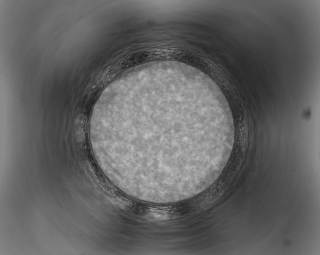 X0000114560757200911301248