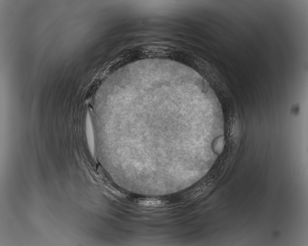 X0000114560759200911301248
