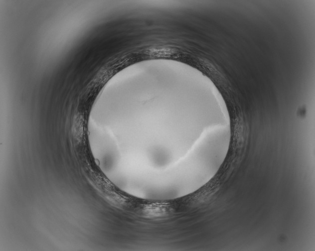X0000114560761200911301248