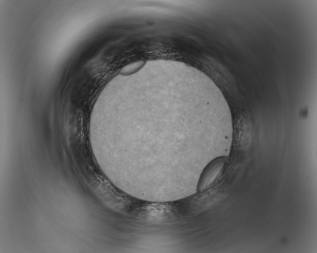 X0000114560762200911301248
