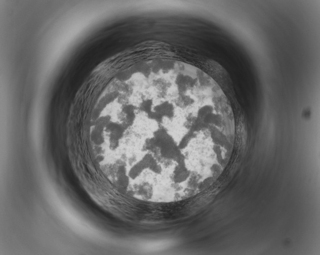 X0000114560765200911301248
