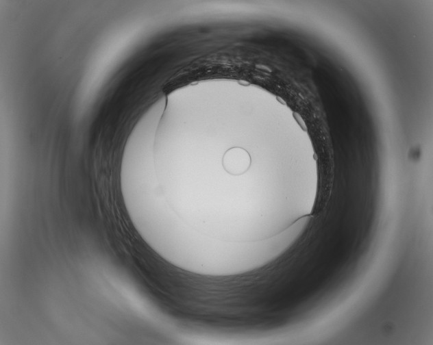 X0000114560766200911301248