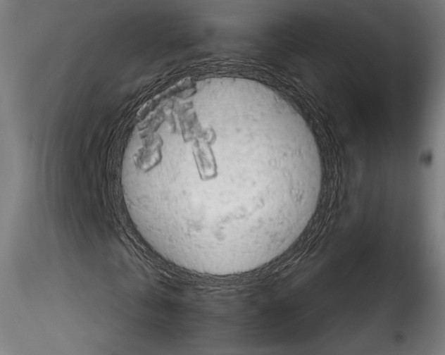 X0000114560769200911301248