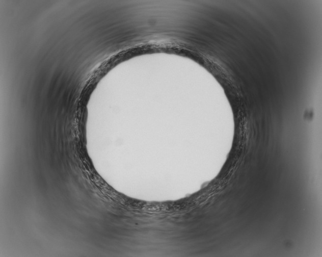 X0000114560776200911301248