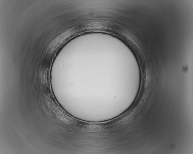 X0000114560777200911301247