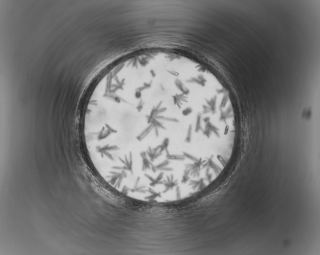 X0000114560779200911301247