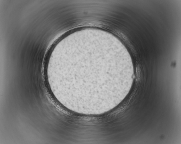 X0000114560780200911301247