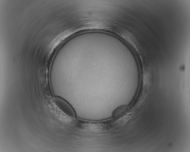 X0000114560781200911301247