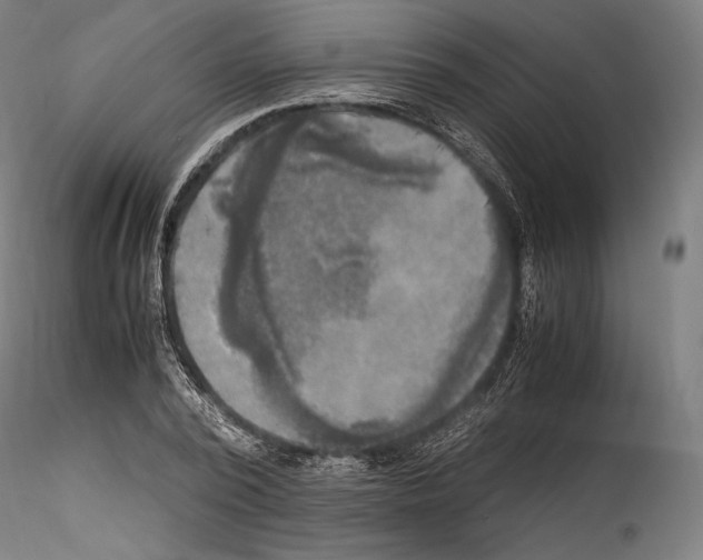 X0000114560784200911301247