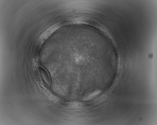 X0000114560785200911301247