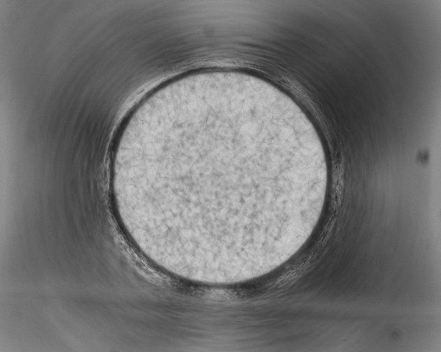 X0000114560787200911301247