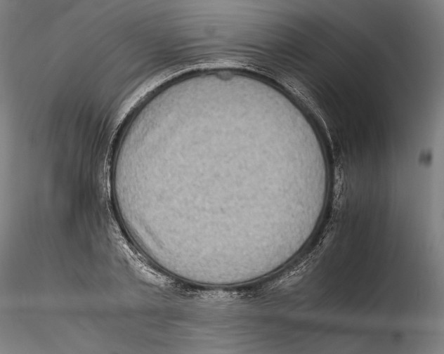 X0000114560789200911301247