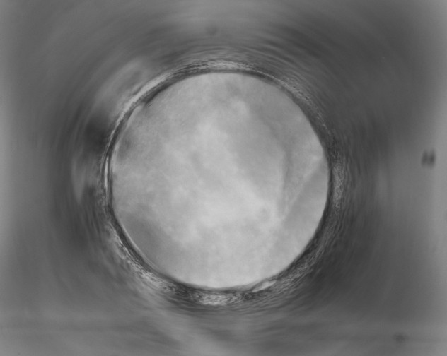 X0000114560790200911301247