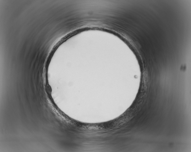 X0000114560791200911301247