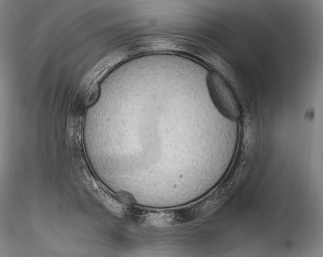 X0000114560793200911301247