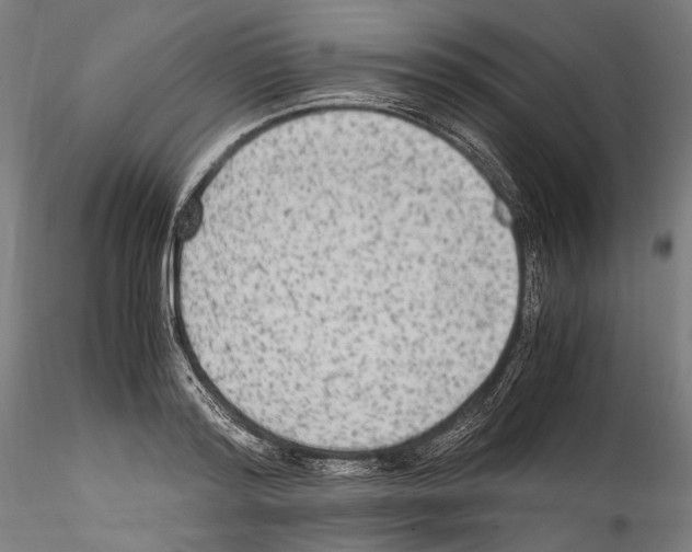 X0000114560796200911301247