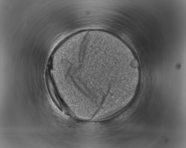 X0000114560797200911301247