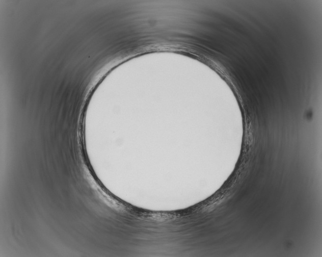X0000114560803200911301247