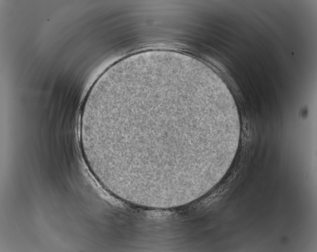 X0000114560804200911301247
