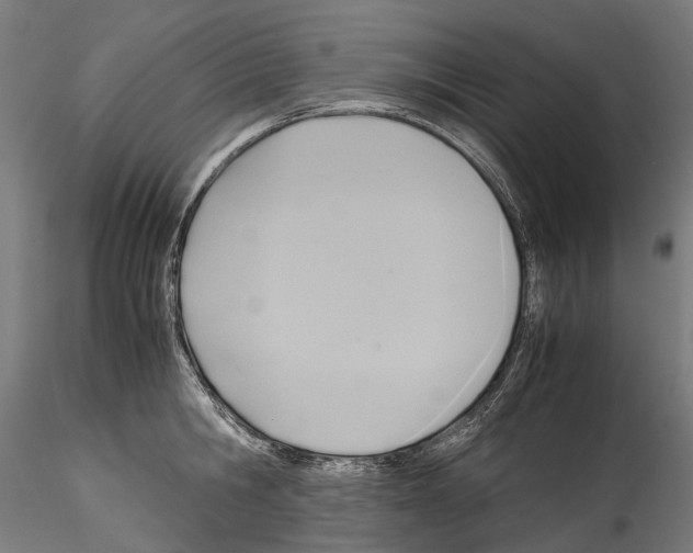 X0000114560806200911301247