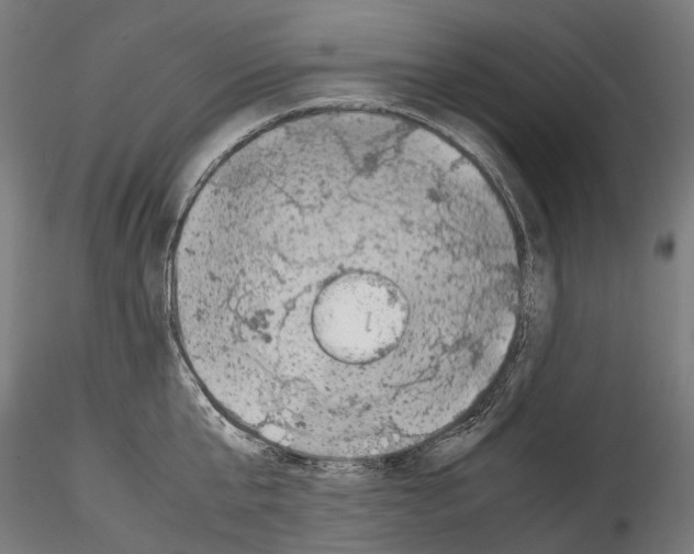 X0000114560807200911301247