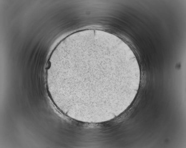 X0000114560808200911301247